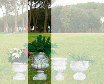 Vaso a Calice Baccellato con Rose in Cemento Bianco Vs016